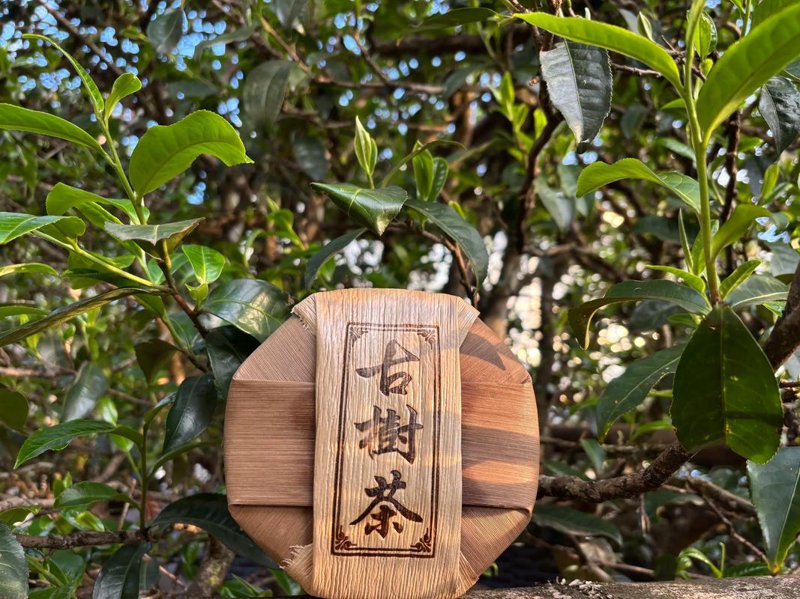 品味自然的馈赠:生茶与日常生活的融合